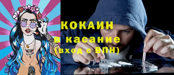 винт Липки