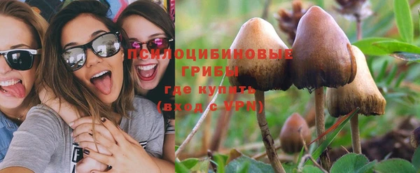 винт Липки
